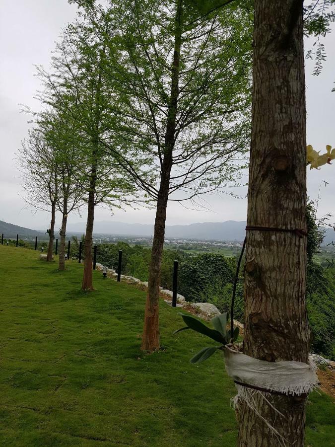 Sunrise Forest Fenglin Bagian luar foto